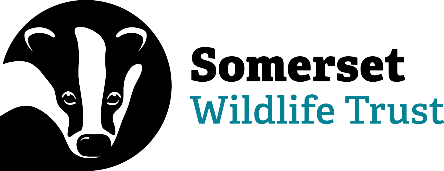 Somerset Wildlife Trust