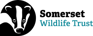 Somerset Wildlife Trust