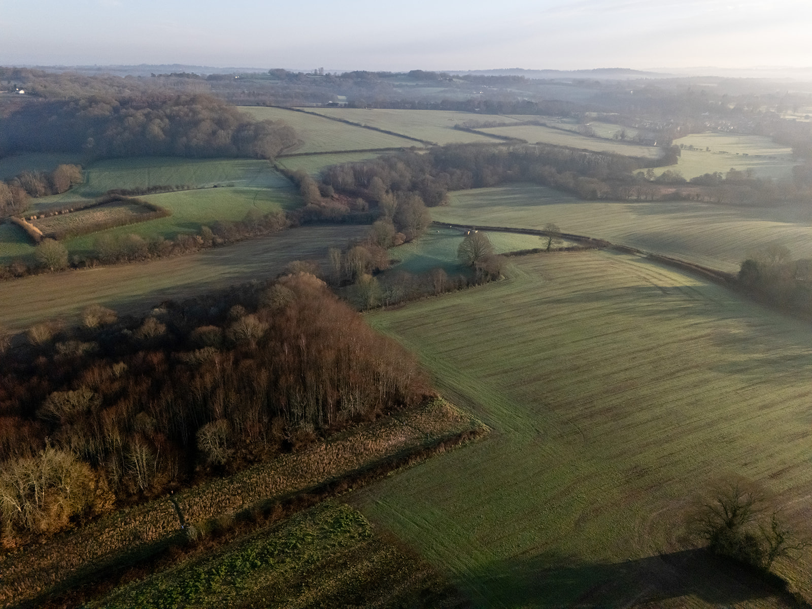 Ironhurst Valley Nature Reserve (Furnace &  Hoathly Farm)