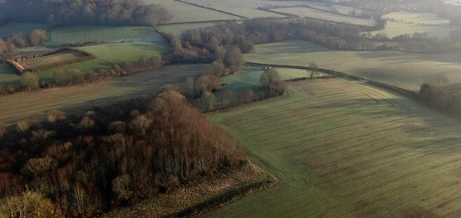 Ironhurst Valley Nature Reserve (Furnace & Hoathly Farm)