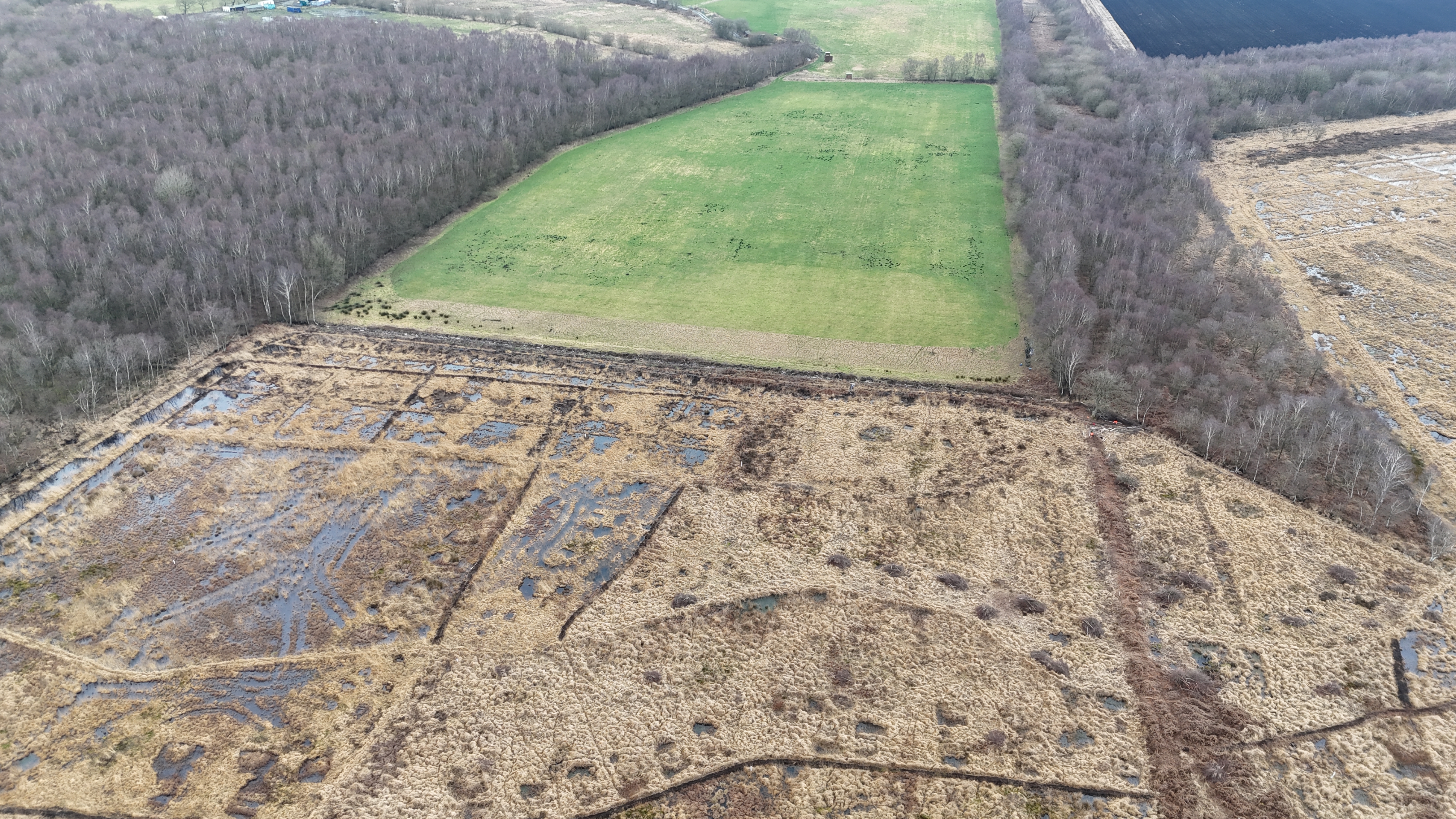 drone shot of Turf Nest farm cultivated field amongst peat bog