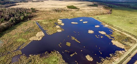 South Lakeland Nature Reserve