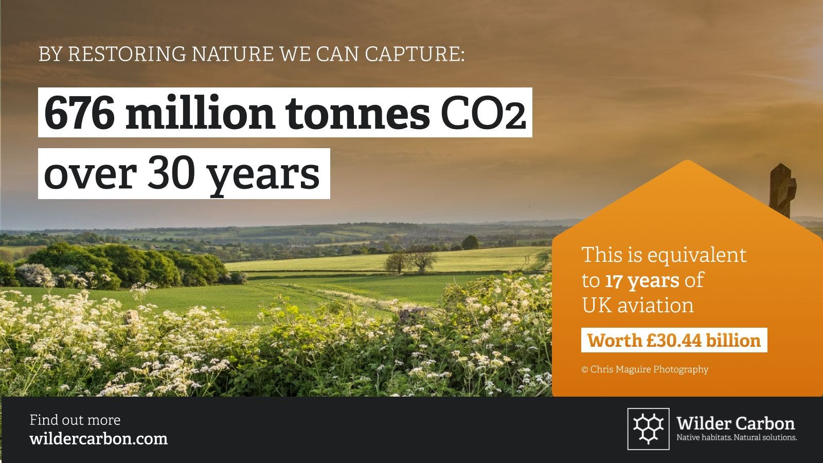 By restoring nature we can capture 676 million tonnes of CO2 over 30 years