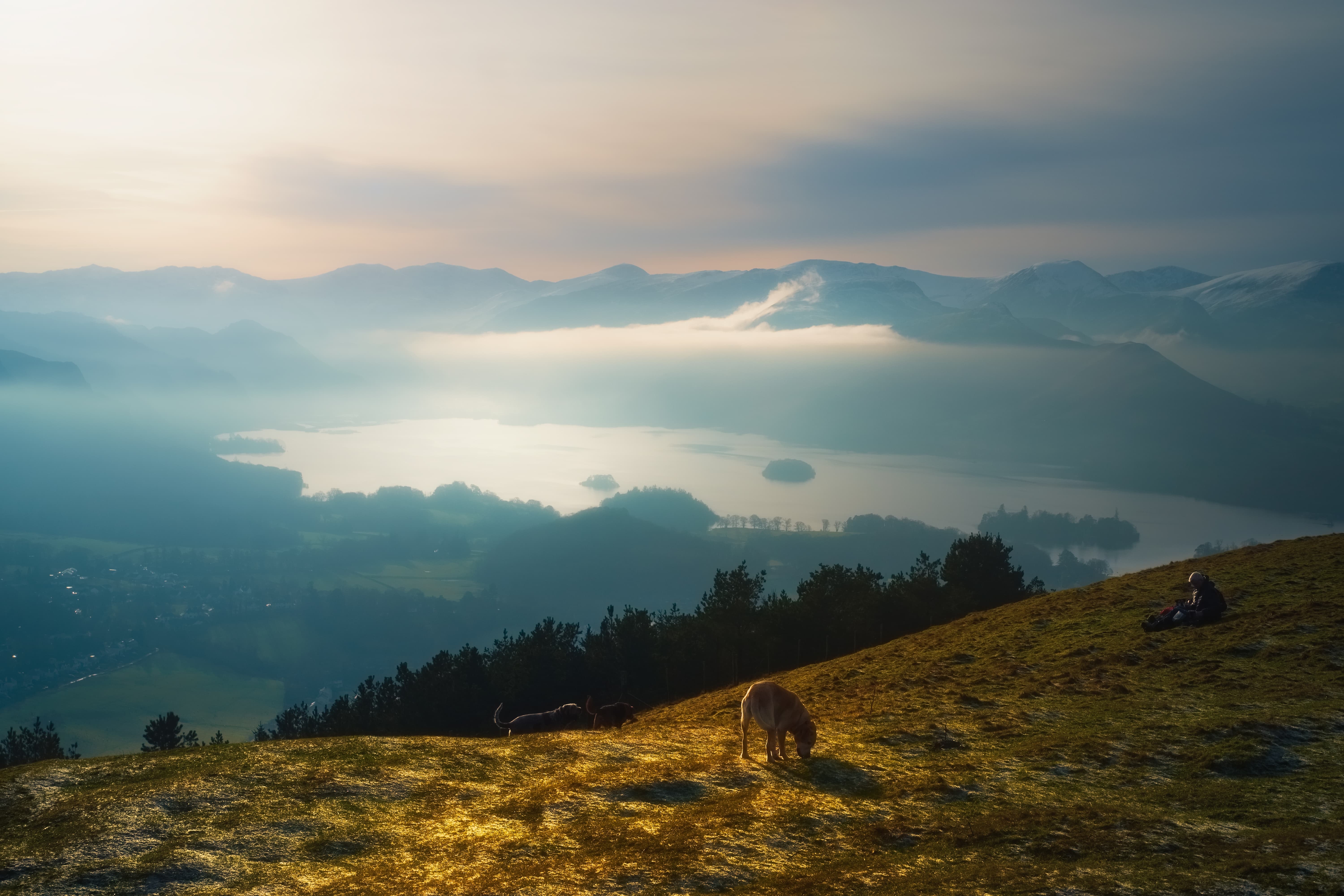 A large lake in-between mountains with a sheep grazing in the foreground