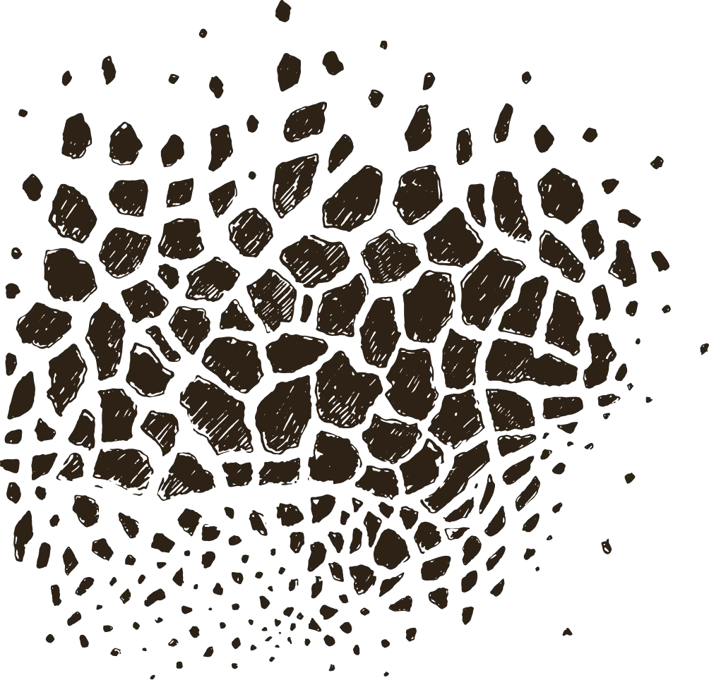 Wild animal pattern