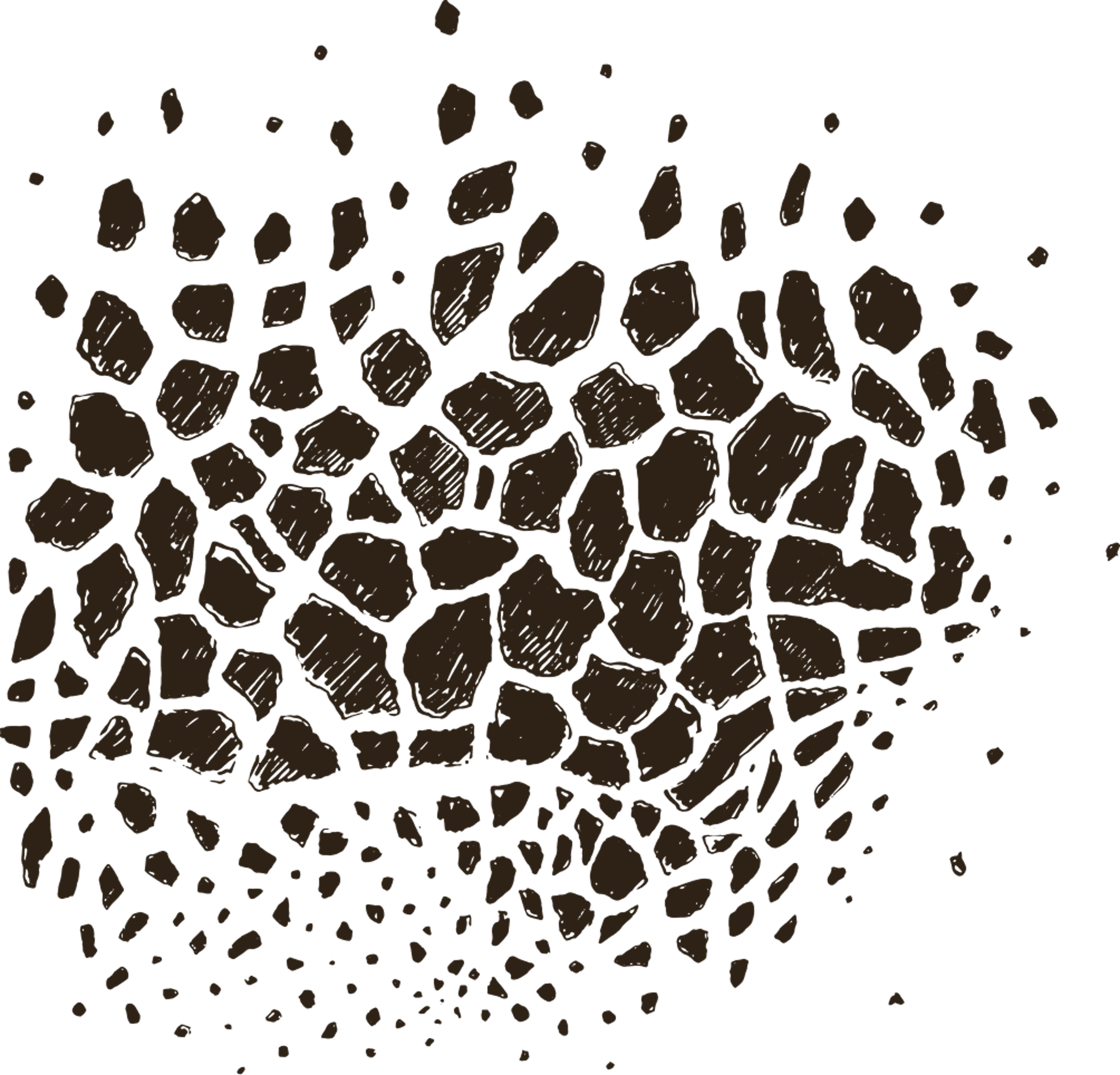Wild animal pattern