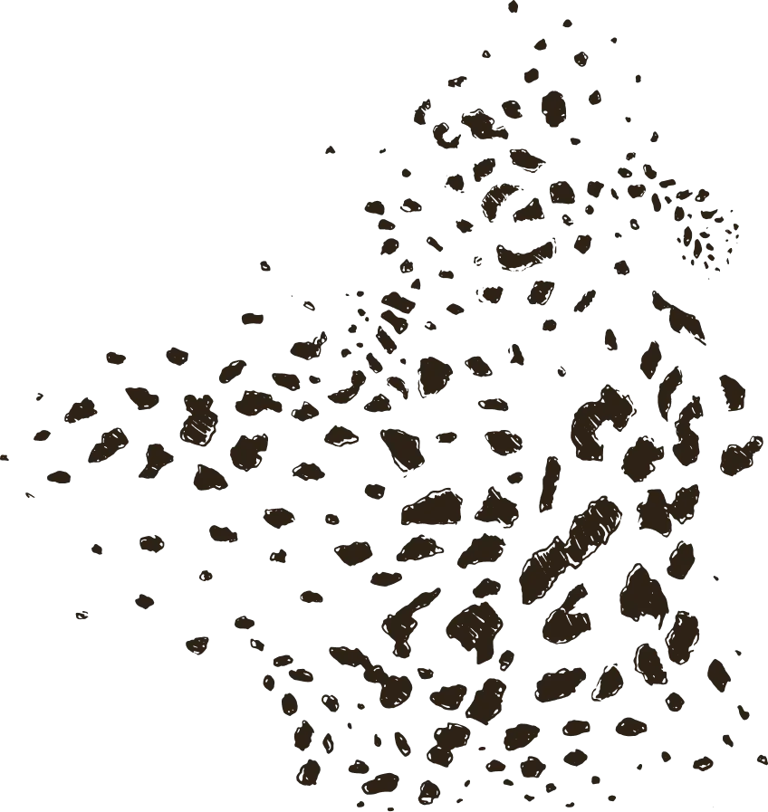 Wild animal pattern