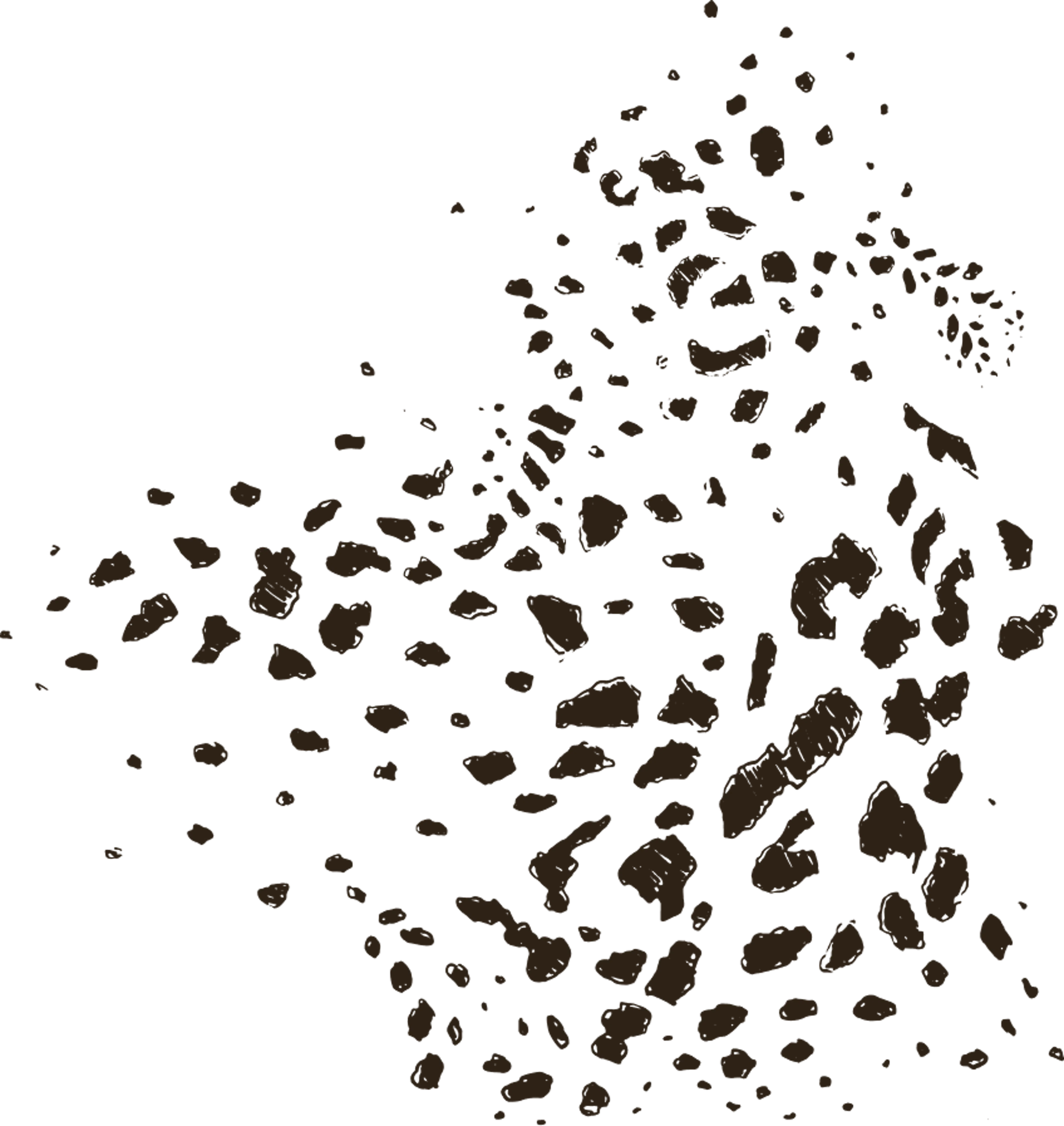 Wild animal pattern
