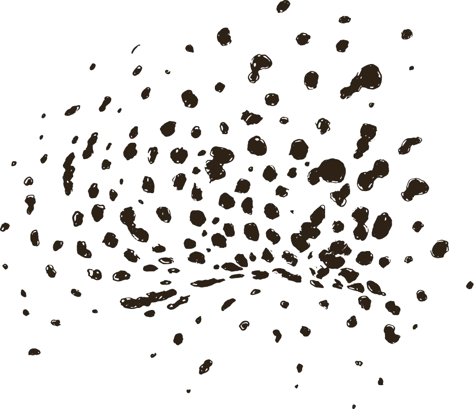 Wild animal pattern