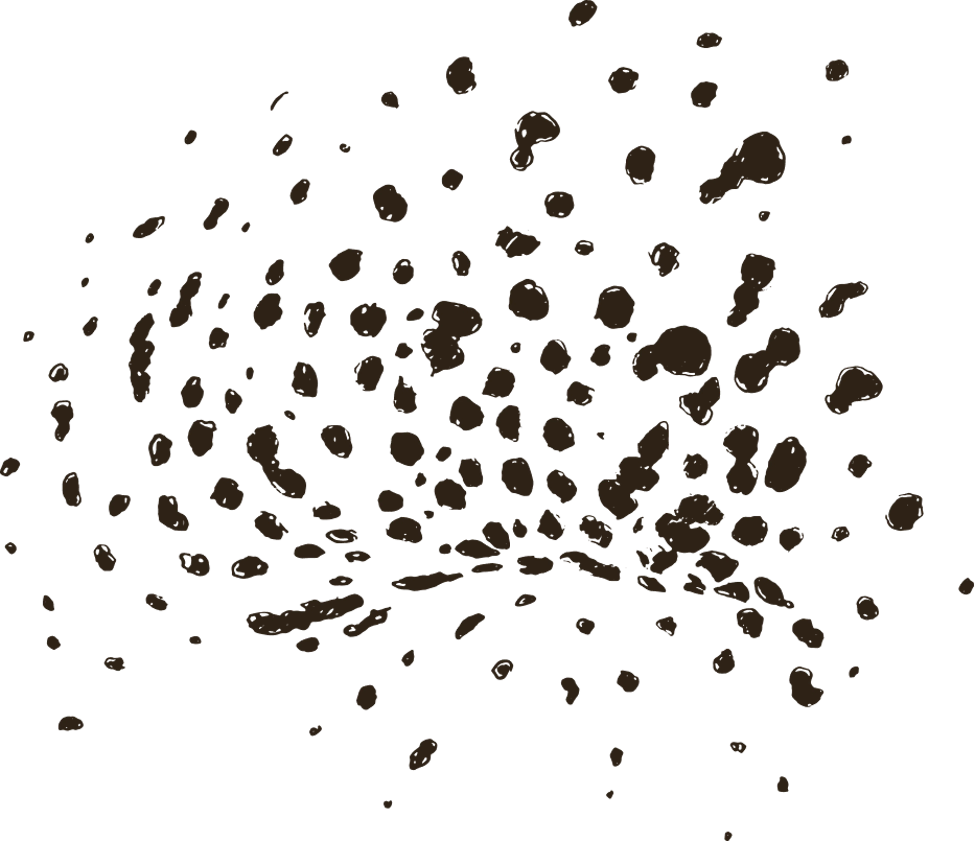 Wild animal pattern