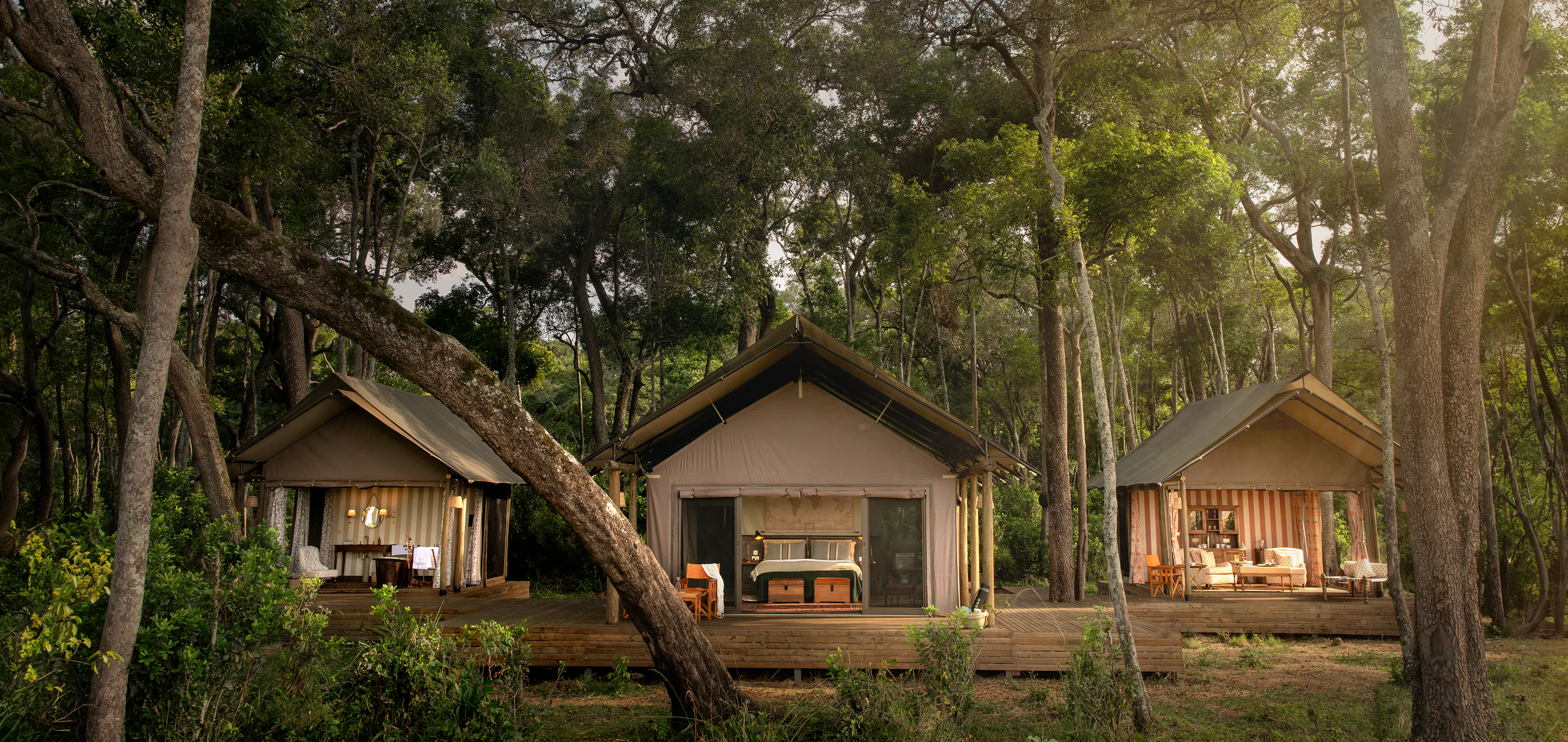 Paradise plains camp