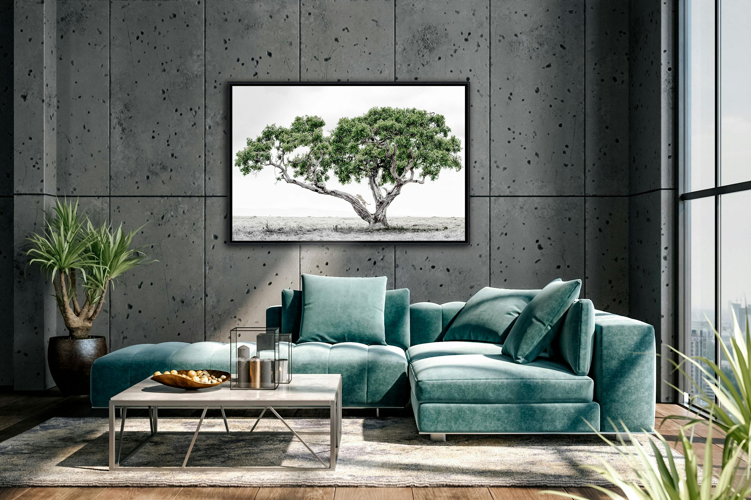Forêt enneigée, Fine Art, Giclée, photo panoramique tirage sur carton Fine  Art -  France