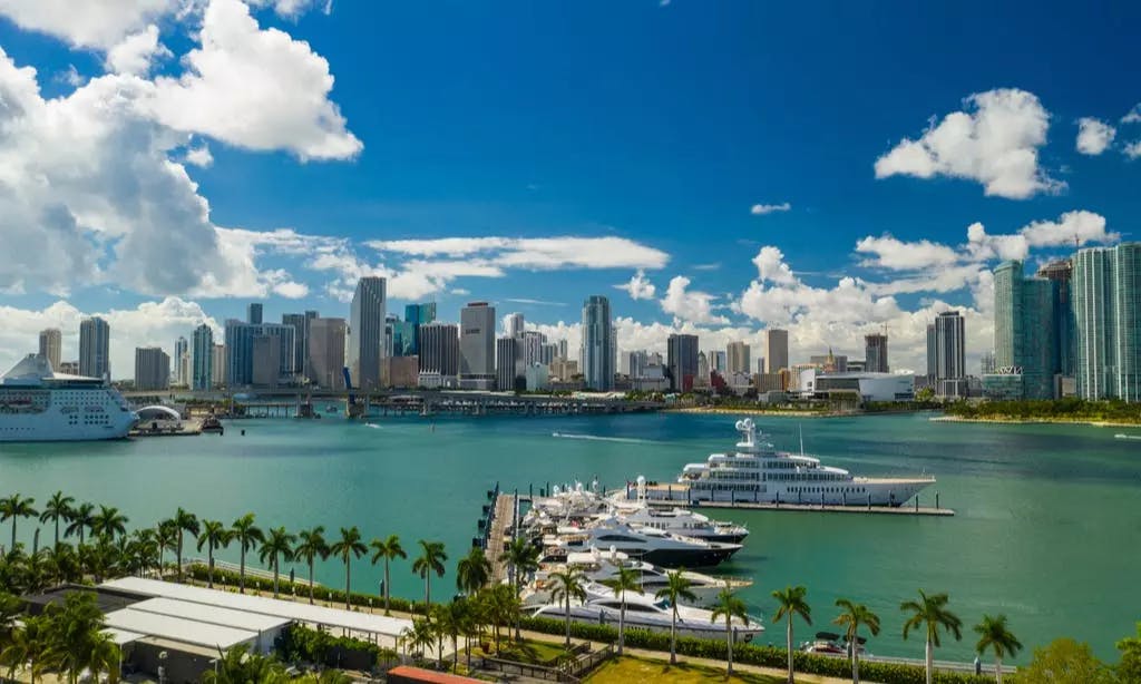 Team Building Activities Miami Wildgoose USA