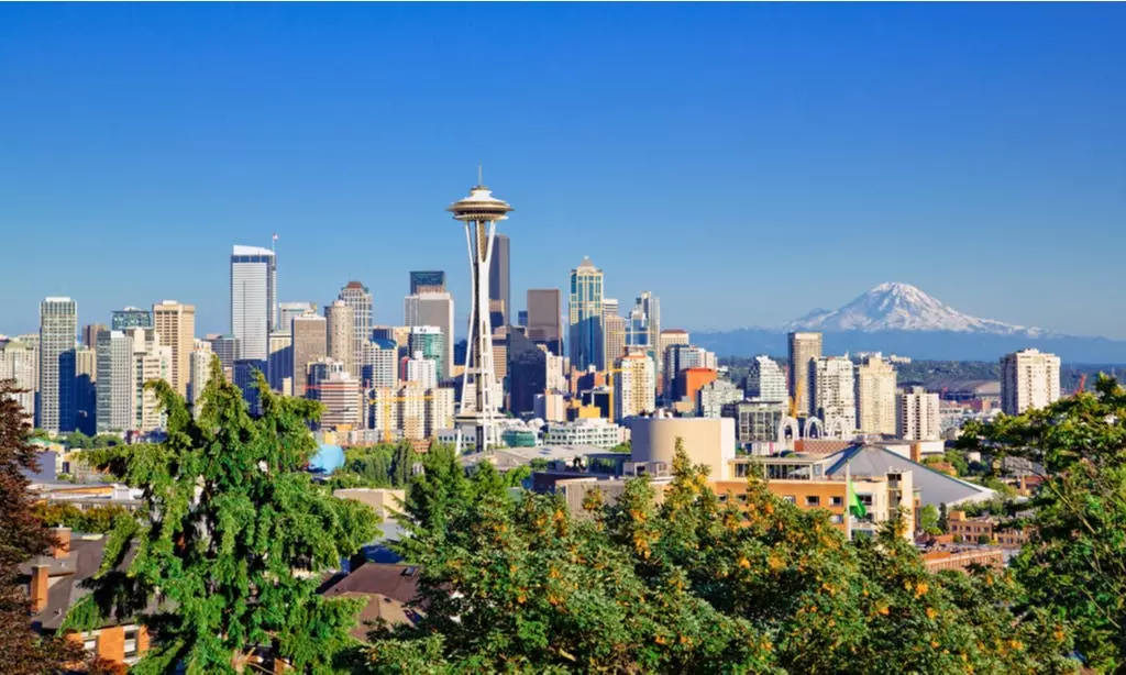 Team Building Activities Seattle, WA Wildgoose USA