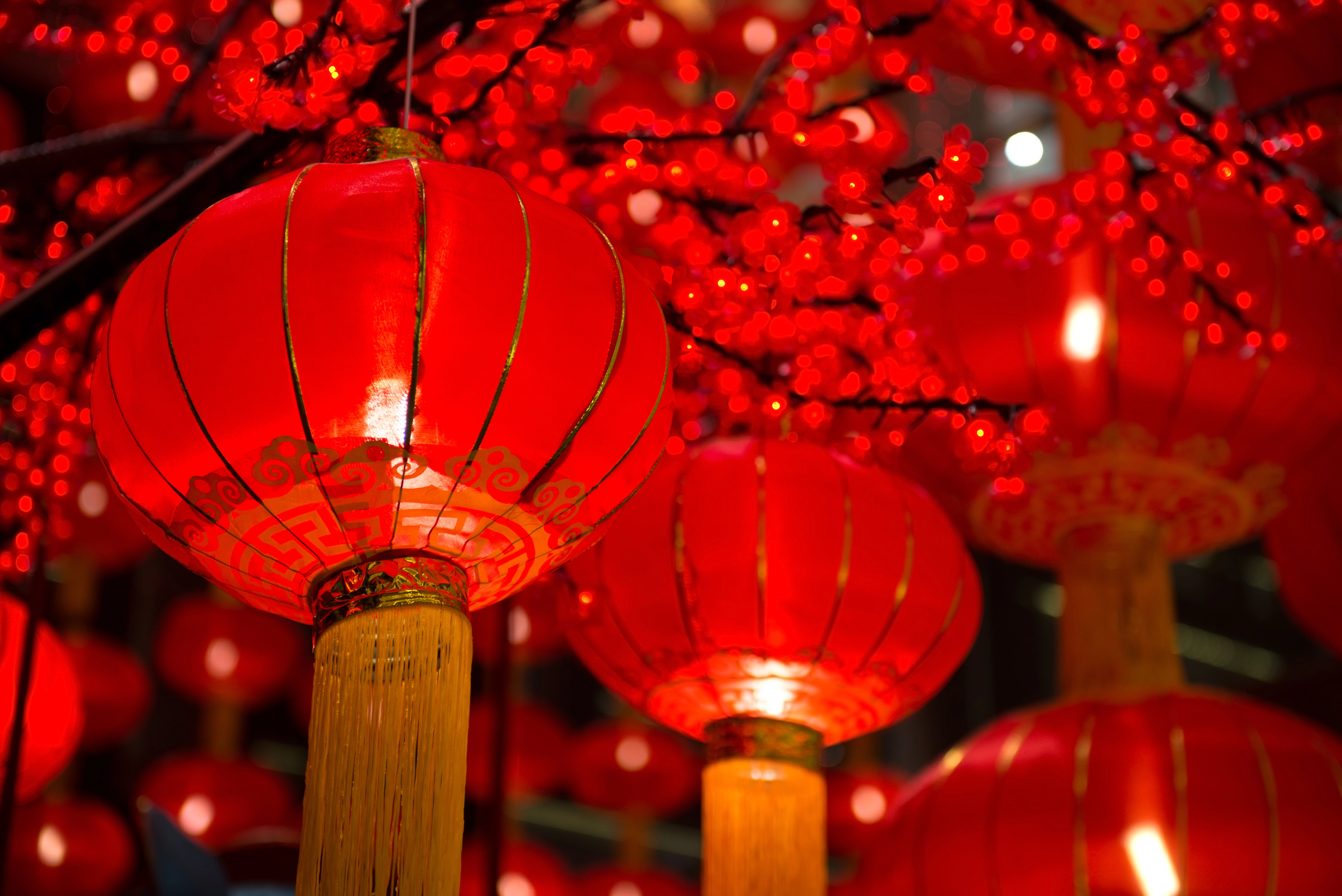 Chinese New Year red lantern decorations 