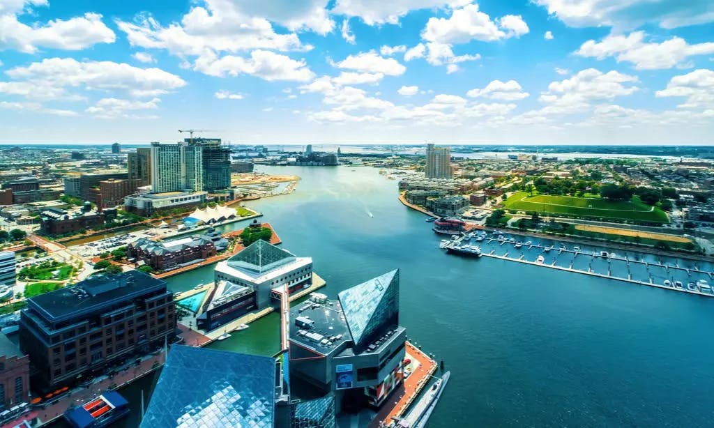 Team Building Activities Baltimore Wildgoose USA