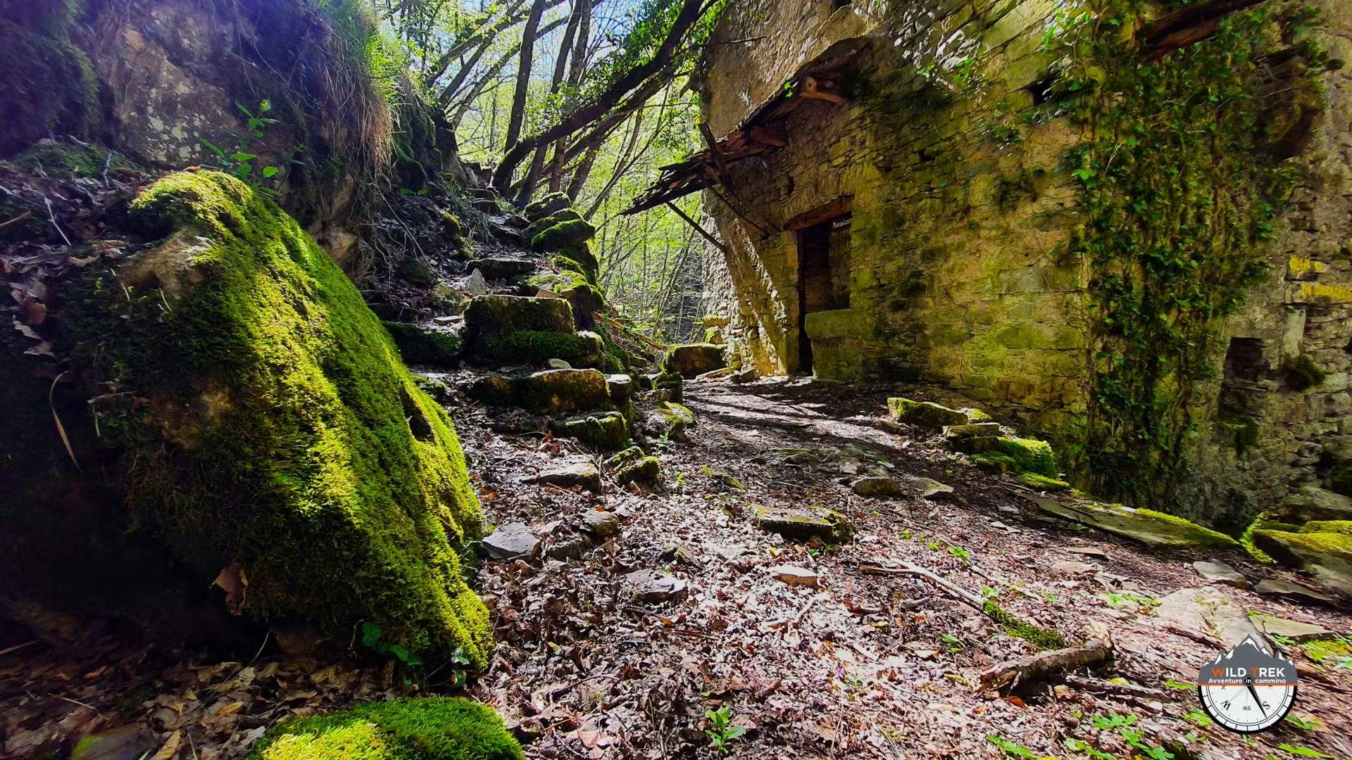 Ruderi del mulino di Tonno con macina in pietra