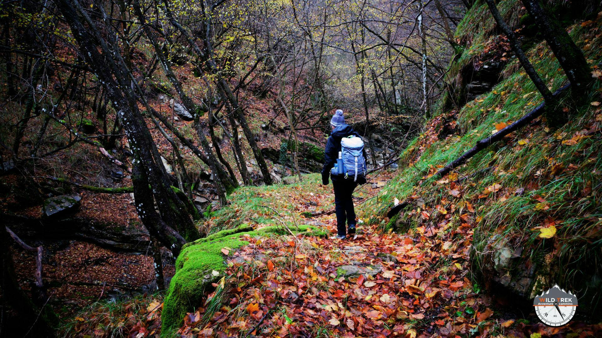 Escursionista solitario nel bosco invernale dell'entroterra ligure
