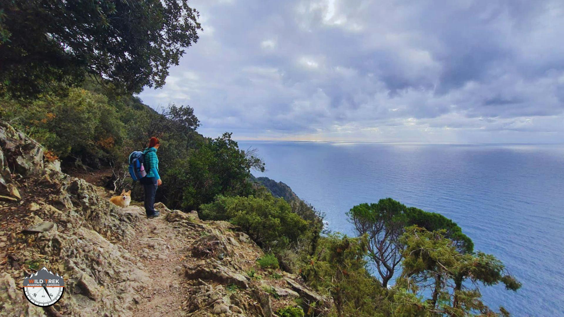 Scorcio panoramico sul Sentiero Verde Azzurro da Levanto a monterosso nel Parco delle Cinque Terre
