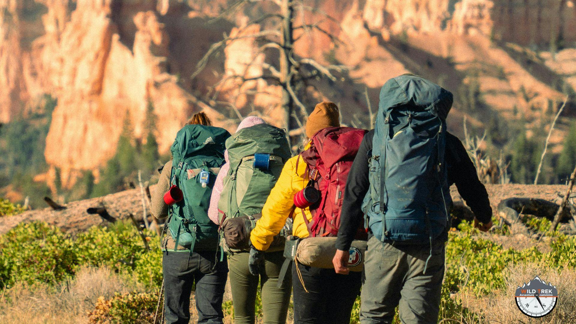 Escursionisti in cammino con zaino in ambiente montano