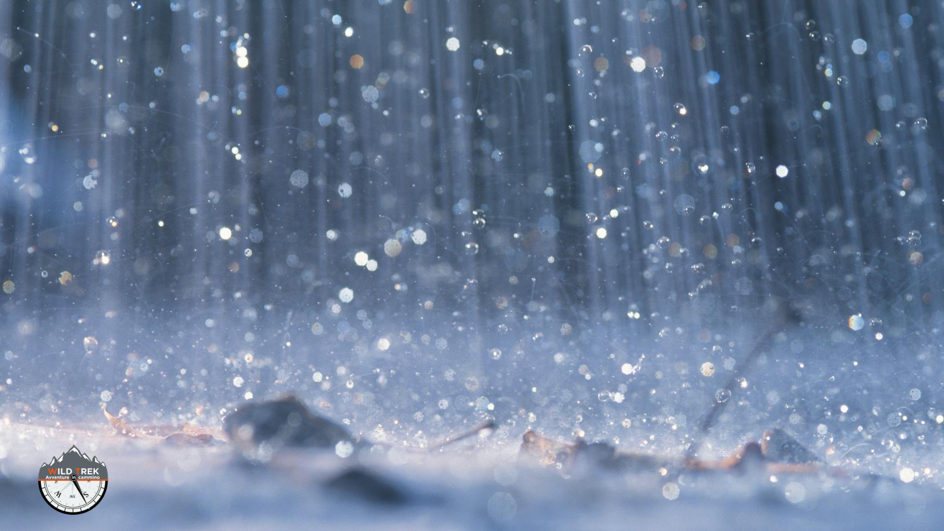 pioggia che cade a terra sulle foglie