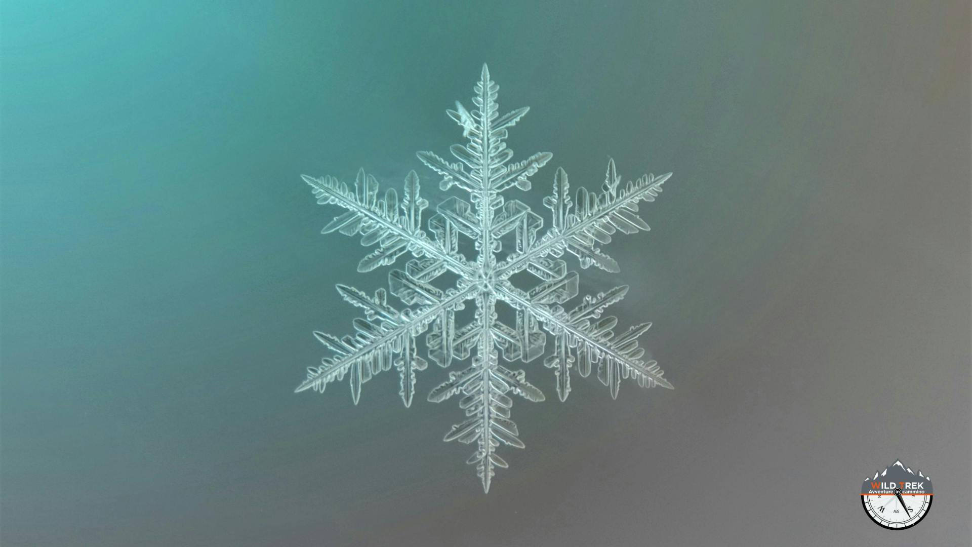 fiocco di neve al microscopio