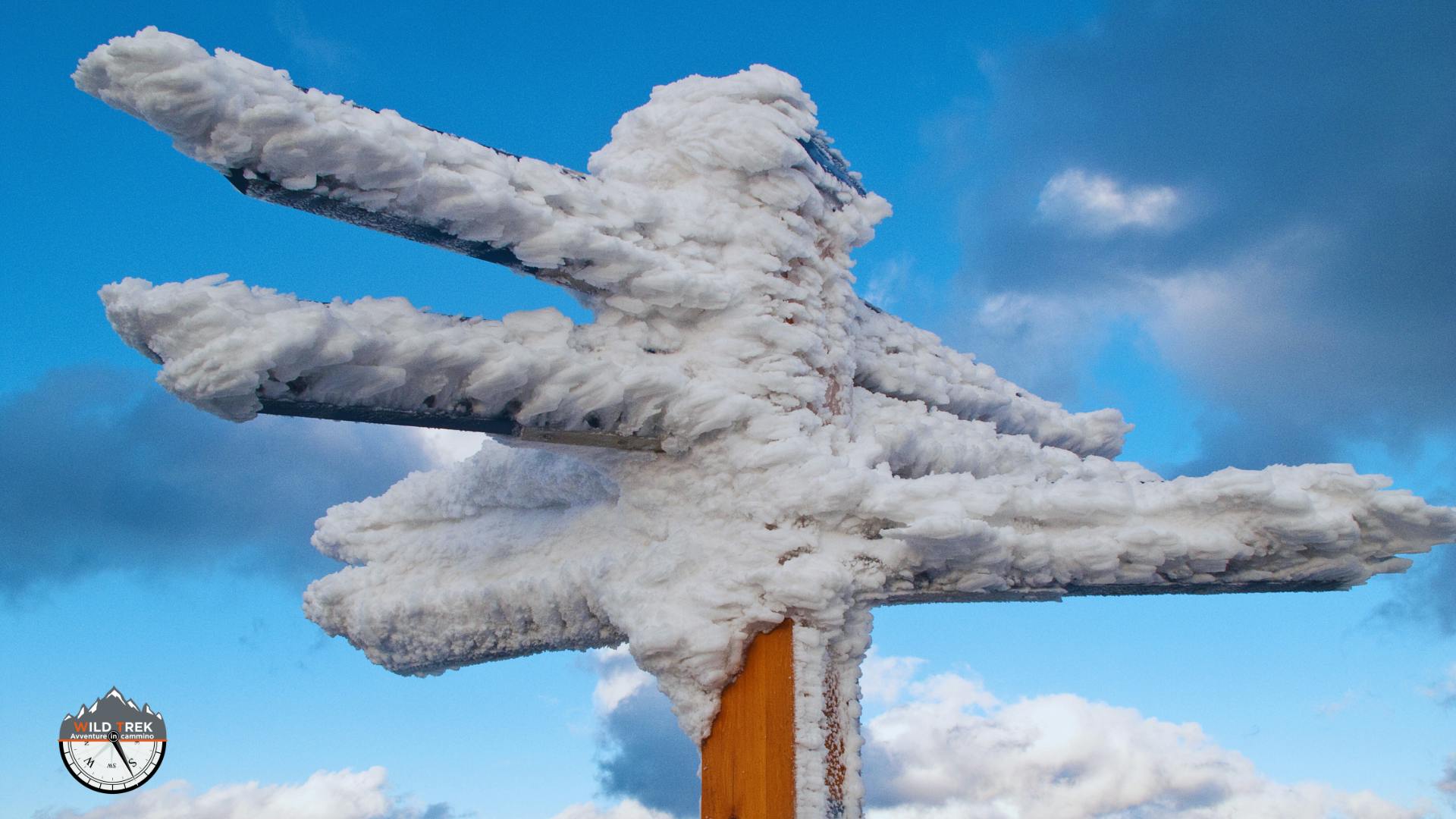 segnaletica verticale coperta da ghiaccio per il fenomeno della calabrosa