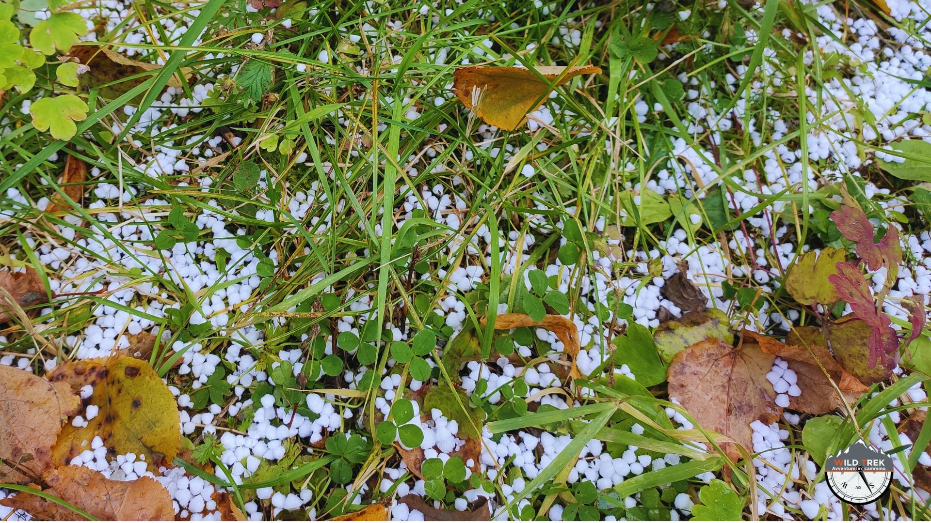 fenomeno del graupel sul prato