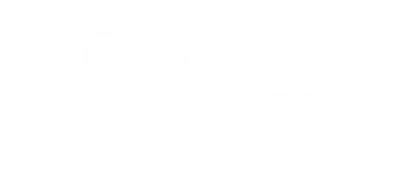 Blue Partner logo