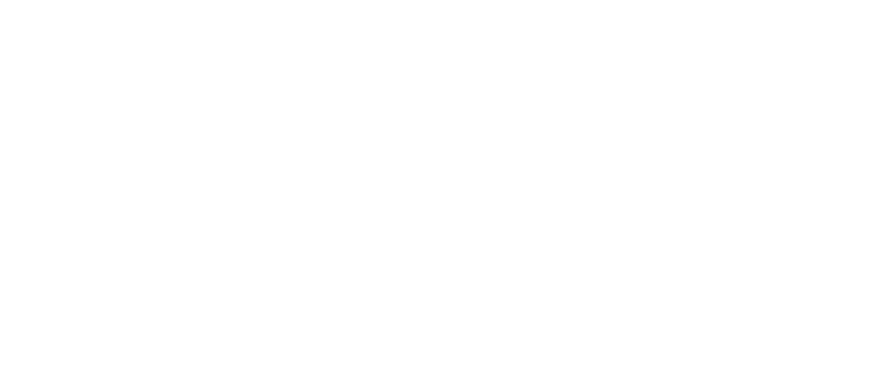 Blue Partner logo