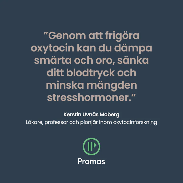 Promas copy1