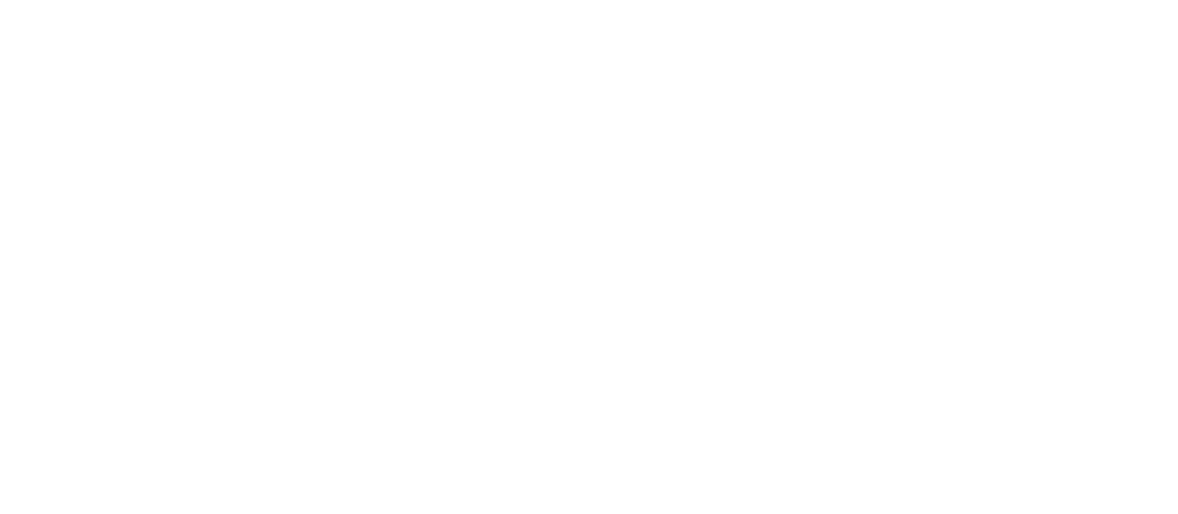 Promas logo