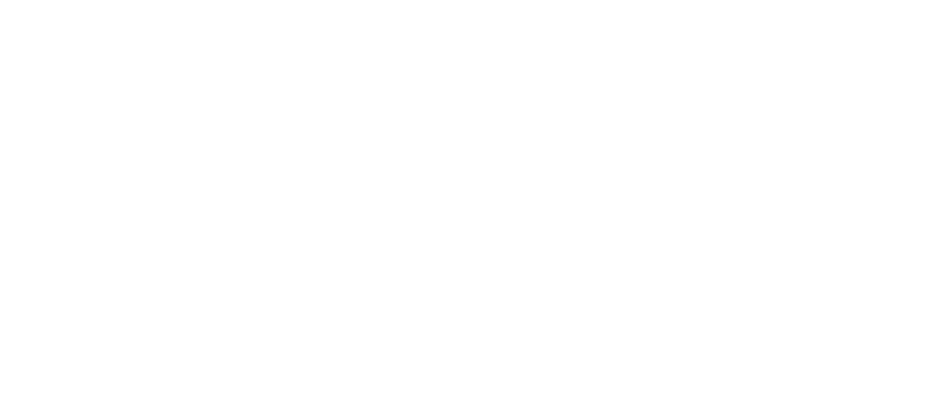 Tiktok logo