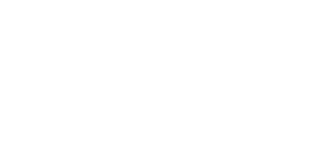 Invision logo