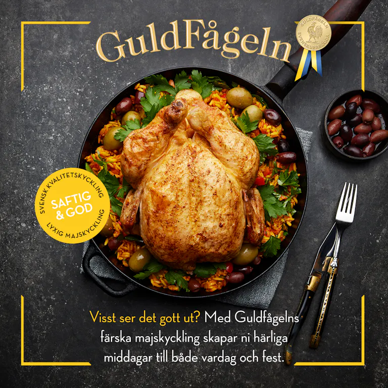 Guldfågeln majskyckling