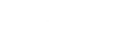 Bravura Logo