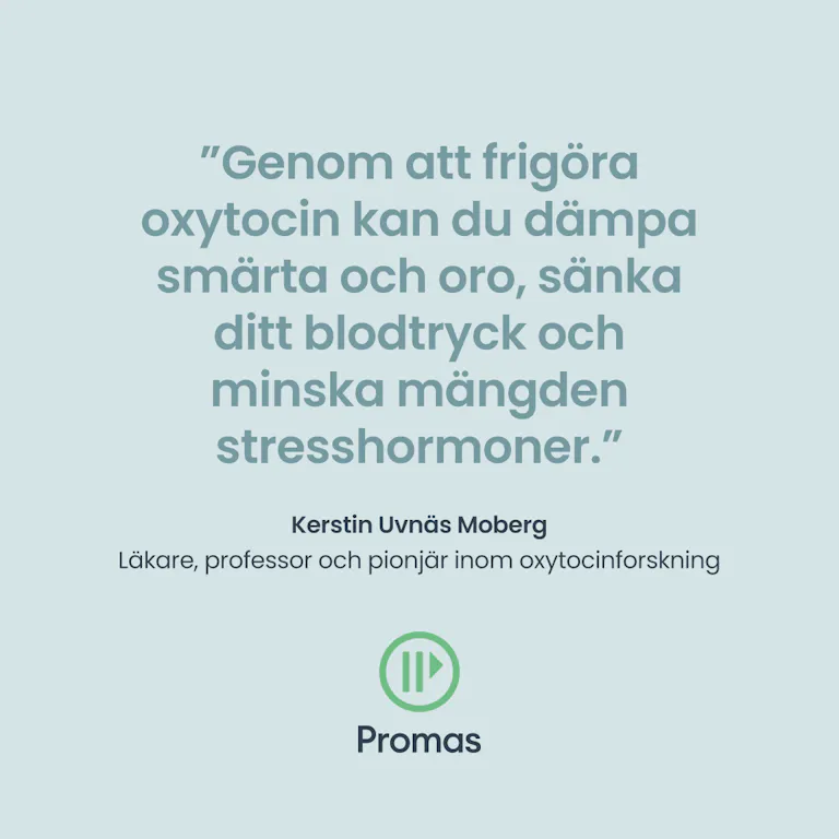 Promas copy2