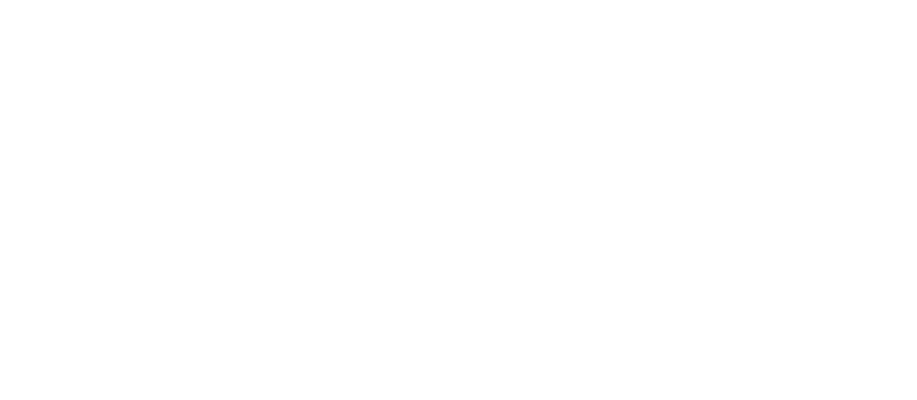 Netlify logo