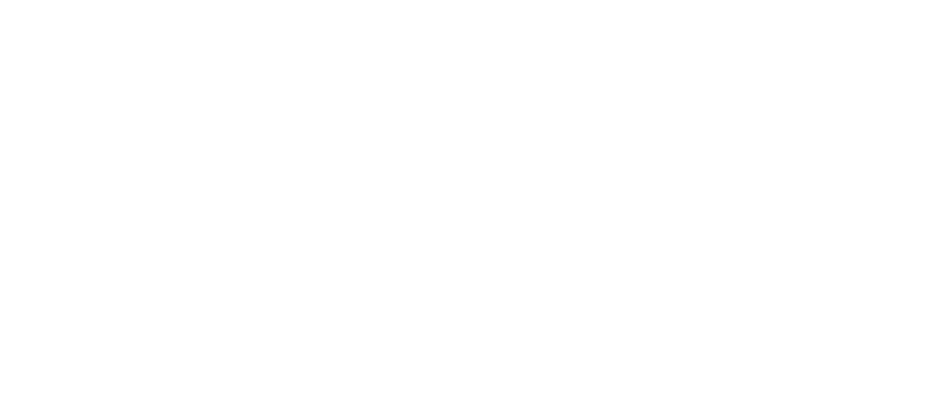 Webbyrå - Netlify logo