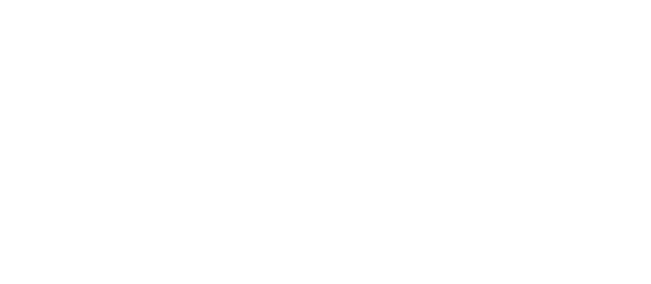 Wordpress logo