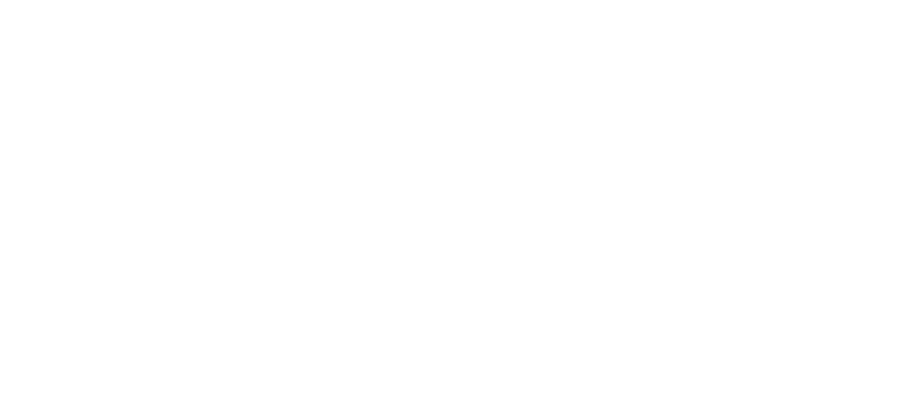 Webbyrå - Wordpress logo