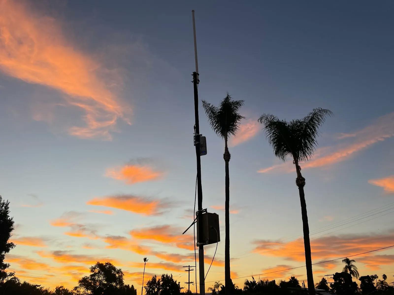 Palm trees with ads-b antenna 