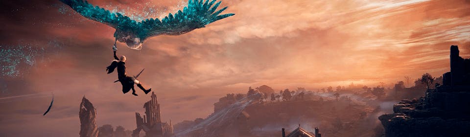 Elden Ring's new Battle Royale