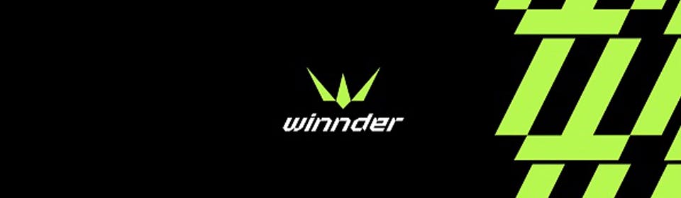 What is WINNDER and how can you earn money playing video games?