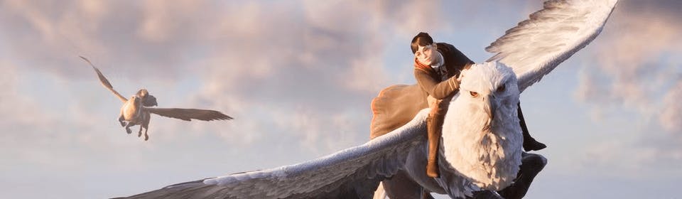 Una oportunidad única para los fans de Harry Potter