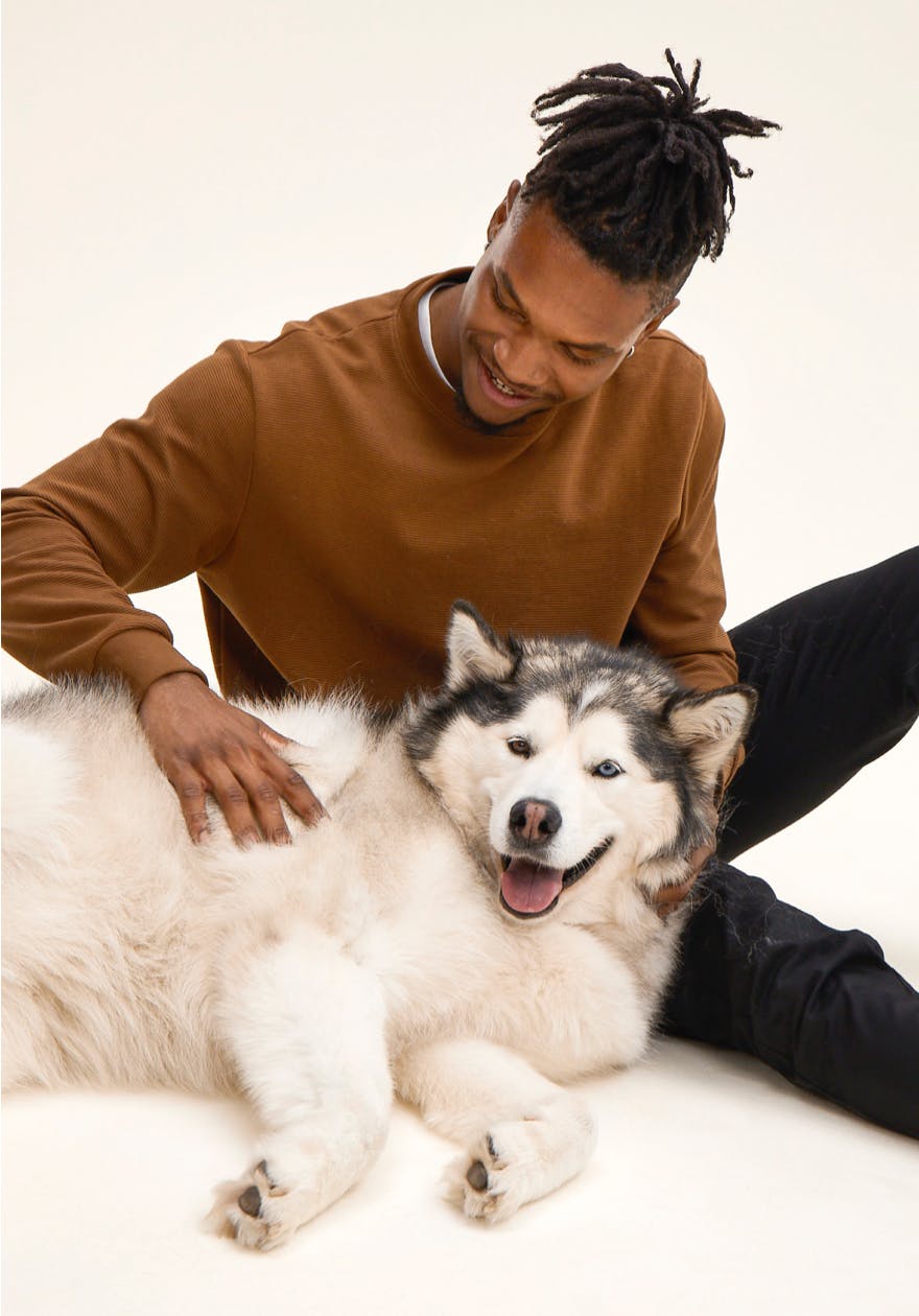 Man petting a cute husky while it is laying down