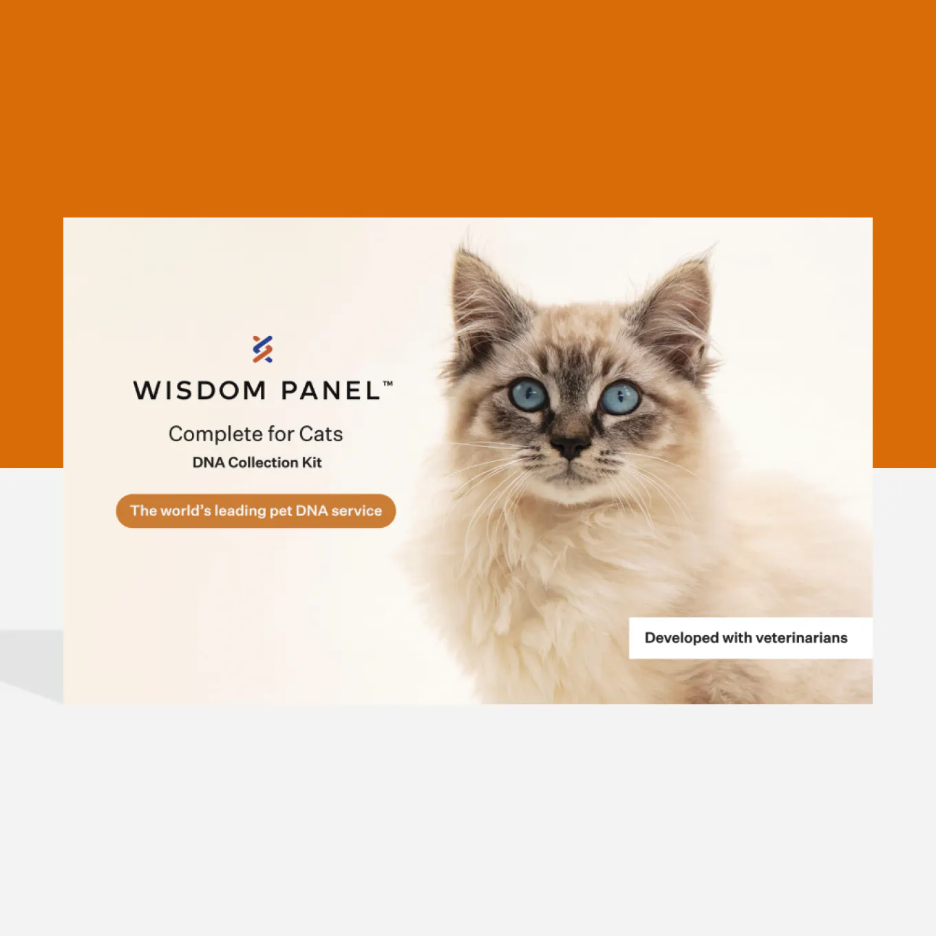 Shop cat DNA tests | Wisdom Panel™ Complete for Cats