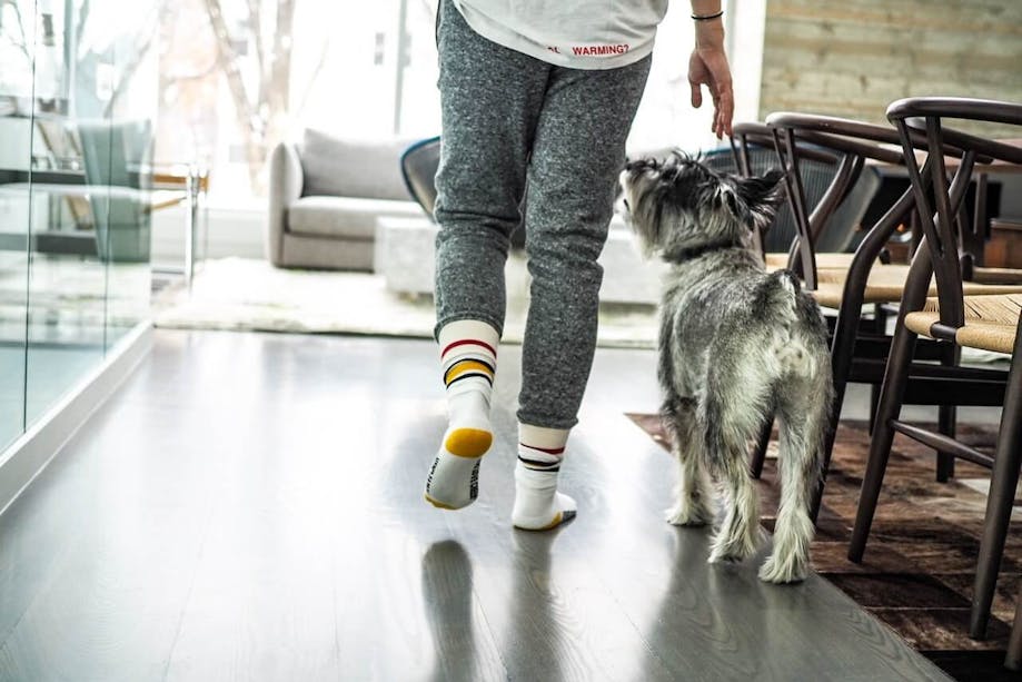 Woman training dog to heel