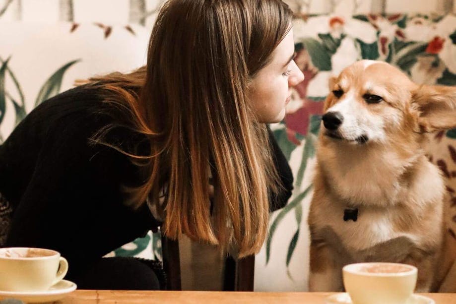 Woman talking to her pup at a dog-friendly restaurant