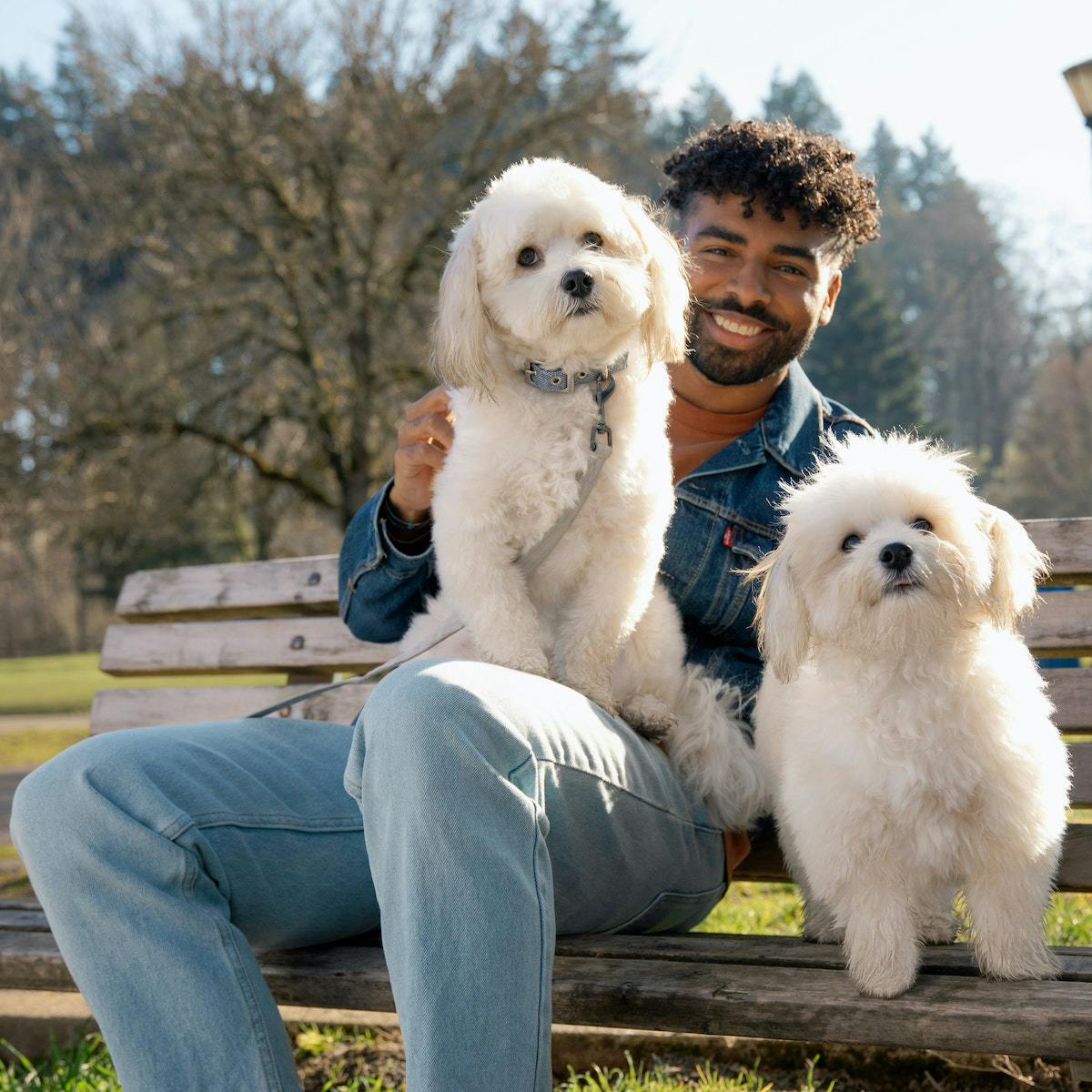 Man sitting on a bench with his dogs